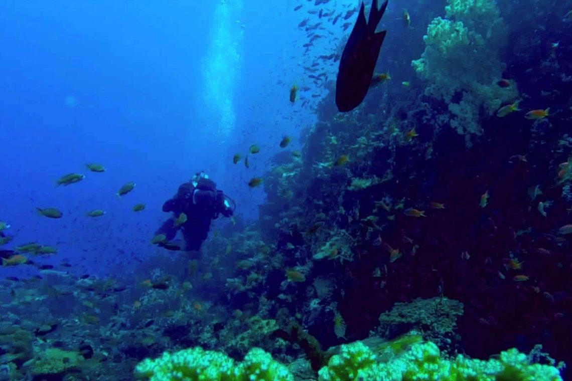 Scuba Dive Coron: Best Summer Adventures for Thrill-Seekers