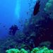 Scuba Dive Coron: Best Summer Adventures for Thrill-Seekers