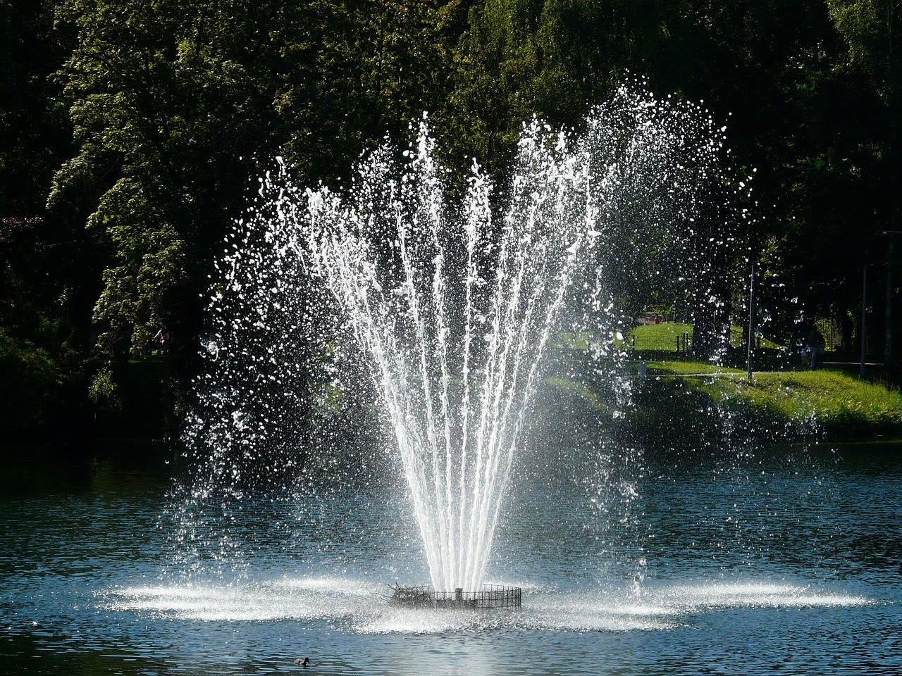 Fountain, nature, water — Quali Steroidi Sono Consigliati per le Trasformazioni Complete del Corpo?
