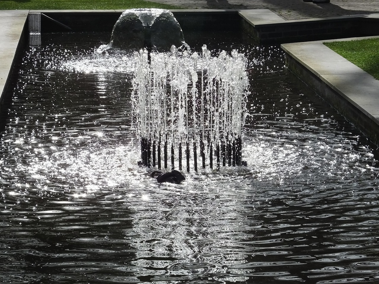 Fountain, water feature, keukenhof — The Founding of YouTube A Short History